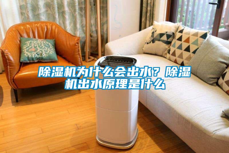除濕機為什么會出水？除濕機出水原理是什么