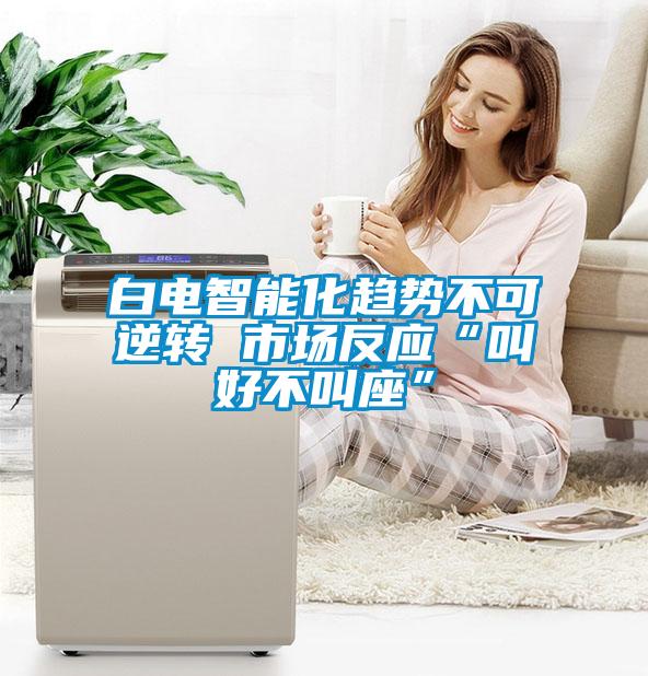 白電智能化趨勢(shì)不可逆轉(zhuǎn) 市場(chǎng)反應(yīng)“叫好不叫座”