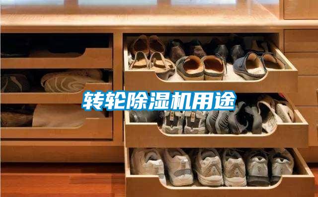 轉輪除濕機用途