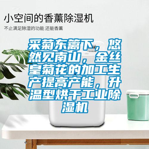 采菊東籬下，悠然見南山，金絲皇菊花的加工生產提高產能，升溫型烘干工業(yè)除濕機