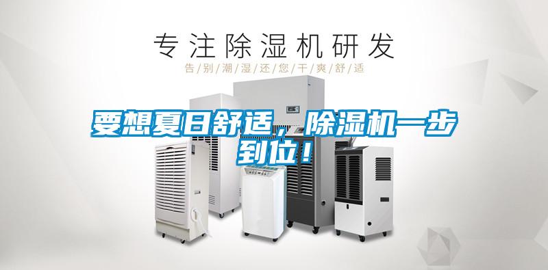 要想夏日舒適，除濕機一步到位！