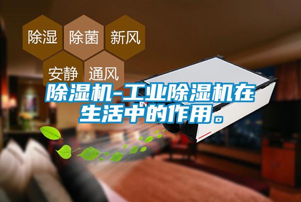 除濕機(jī)-工業(yè)除濕機(jī)在生活中的作用。