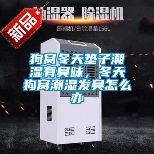 狗窩冬天墊子潮濕有臭味，冬天狗窩潮濕發臭怎么辦