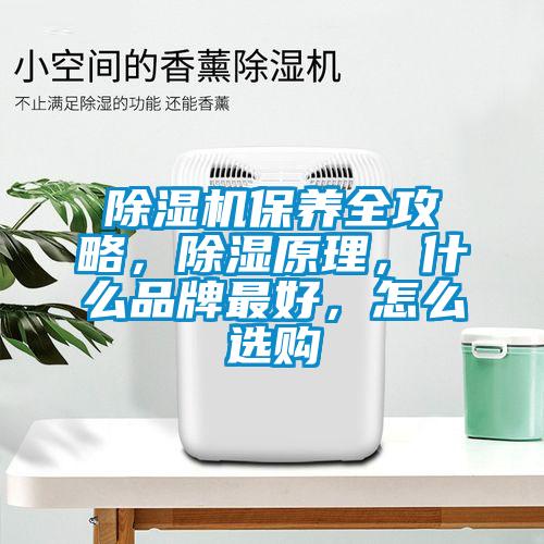 除濕機保養全攻略，除濕原理，什么品牌最好，怎么選購