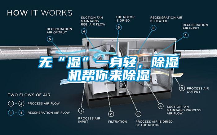 無“濕”一身輕，除濕機幫你來除濕