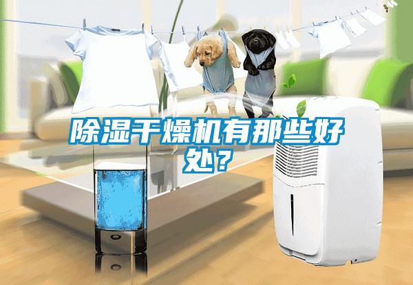 除濕干燥機有那些好處？