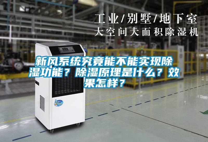 新風系統(tǒng)究竟能不能實現除濕功能？除濕原理是什么？效果怎樣？