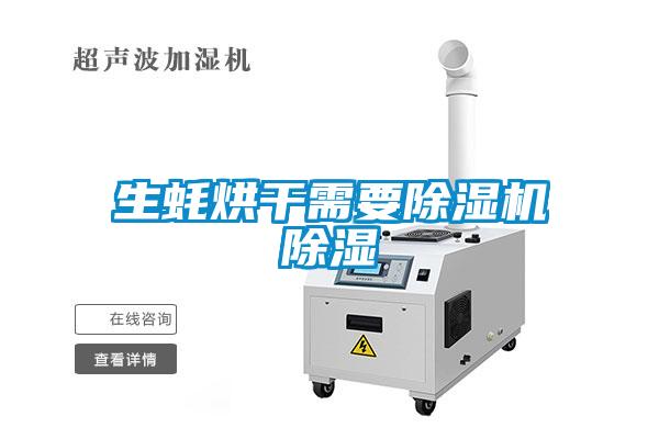 生蠔烘干需要除濕機除濕