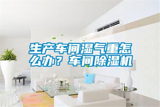 生產車間濕氣重怎么辦？車間除濕機