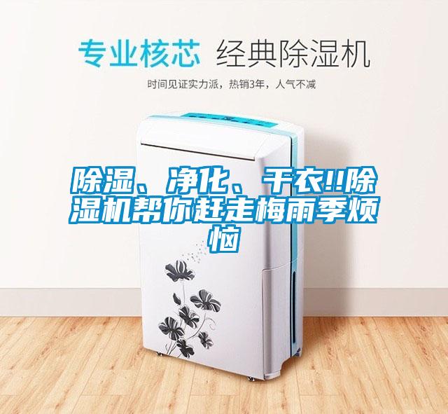 除濕、凈化、干衣!!除濕機幫你趕走梅雨季煩惱