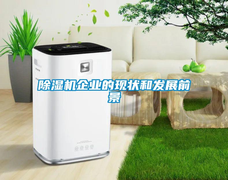 除濕機企業(yè)的現(xiàn)狀和發(fā)展前景