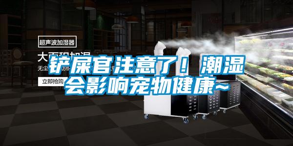 鏟屎官注意了！潮濕會影響寵物健康~