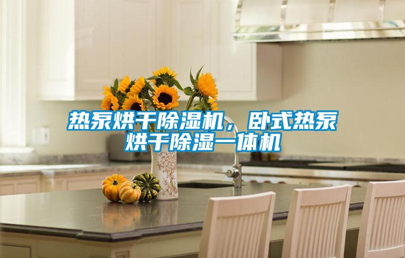 熱泵烘干除濕機，臥式熱泵烘干除濕一體機
