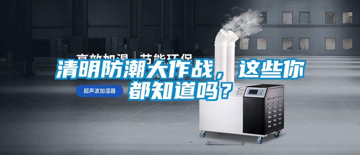 清明防潮大作戰，這些你都知道嗎？