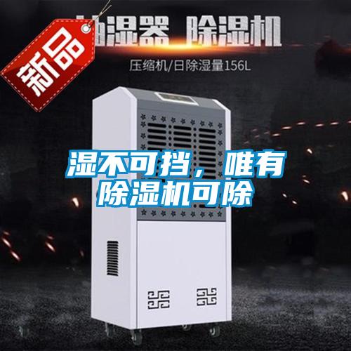 濕不可擋，唯有除濕機可除