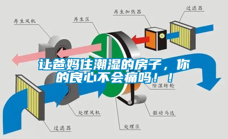 讓爸媽住潮濕的房子，你的良心不會(huì)痛嗎！！