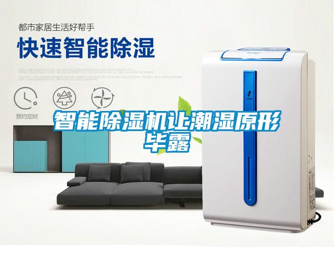 智能除濕機讓潮濕原形畢露