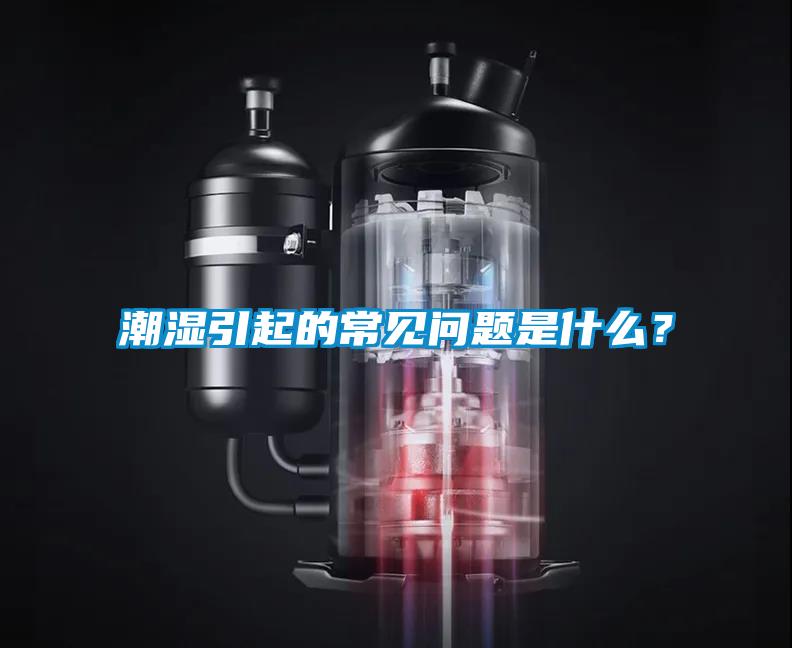 潮濕引起的常見問題是什么?
