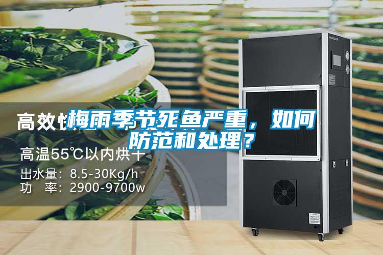 梅雨季節死魚嚴重，如何防范和處理？