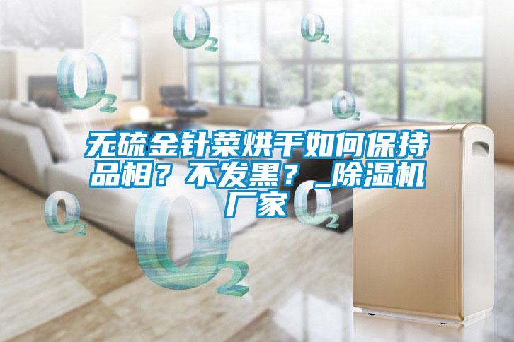 無(wú)硫金針菜烘干如何保持品相？不發(fā)黑？_除濕機(jī)廠家