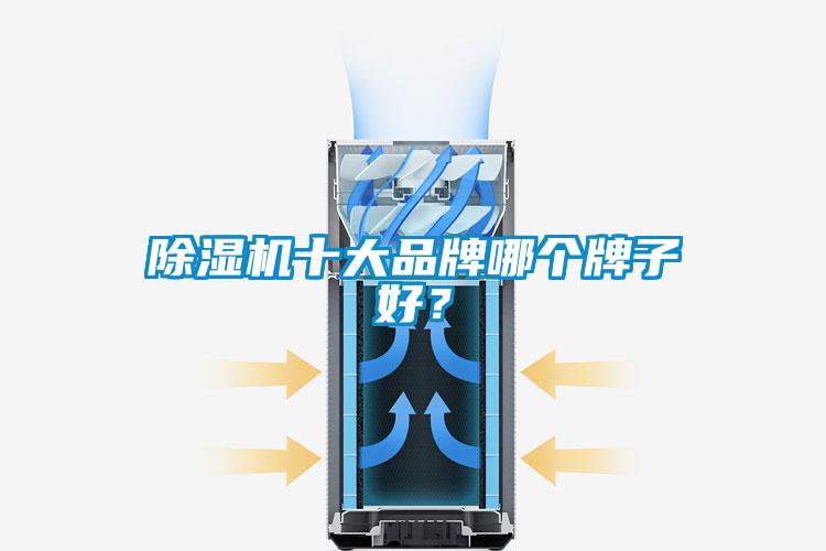 除濕機十大品牌哪個牌子好？