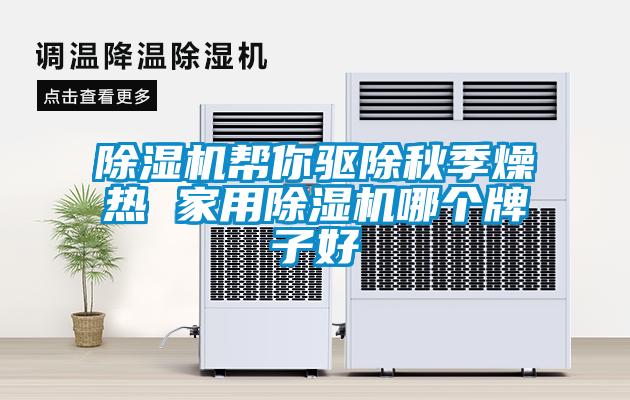 除濕機(jī)幫你驅(qū)除秋季燥熱 家用除濕機(jī)哪個(gè)牌子好