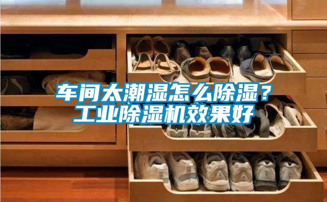 車間太潮濕怎么除濕？工業除濕機效果好