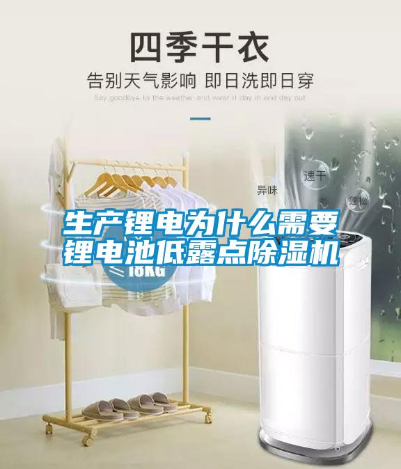 生產鋰電為什么需要鋰電池低露點除濕機