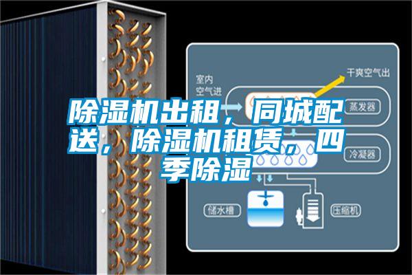 除濕機出租，同城配送，除濕機租賃，四季除濕