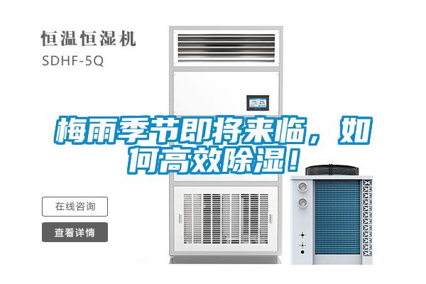 梅雨季節即將來臨，如何高效除濕！