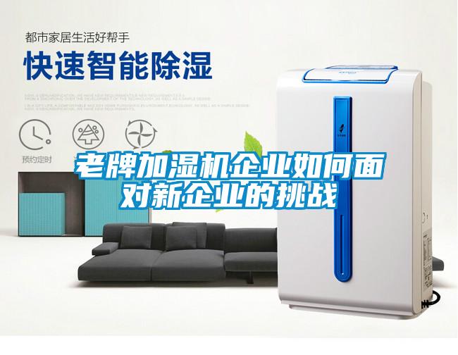老牌加濕機企業如何面對新企業的挑戰