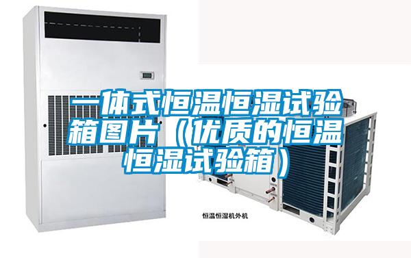 一體式恒溫恒濕試驗箱圖片（優(yōu)質(zhì)的恒溫恒濕試驗箱）
