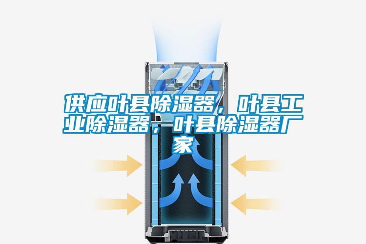 供應葉縣除濕器，葉縣工業(yè)除濕器，葉縣除濕器廠家
