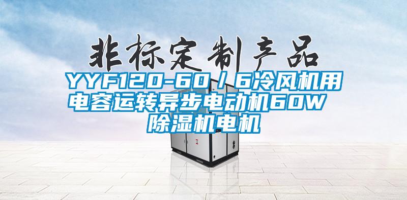 YYF120-60／6冷風(fēng)機(jī)用電容運轉(zhuǎn)異步電動機(jī)60W 除濕機(jī)電機(jī)