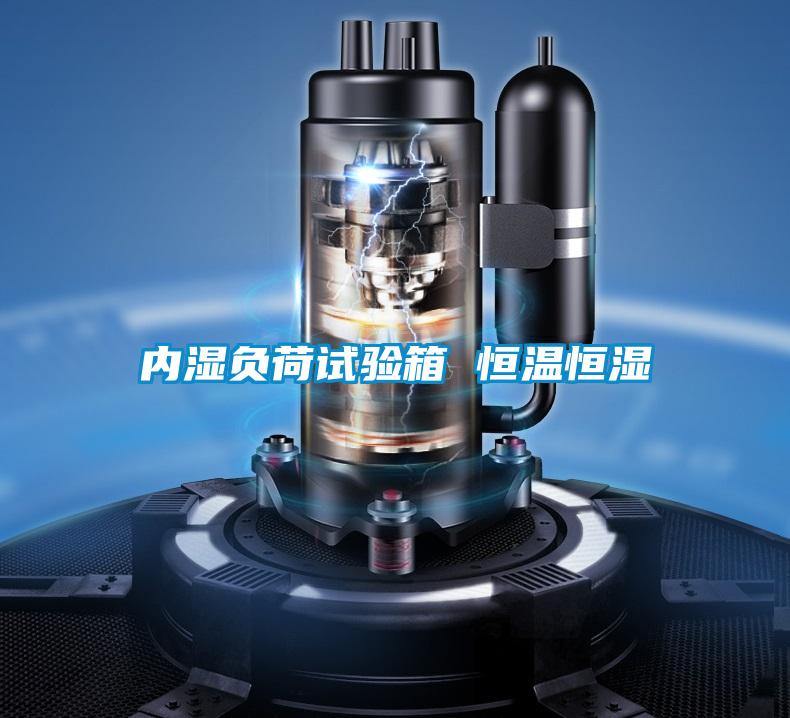 內(nèi)濕負(fù)荷試驗(yàn)箱 恒溫恒濕