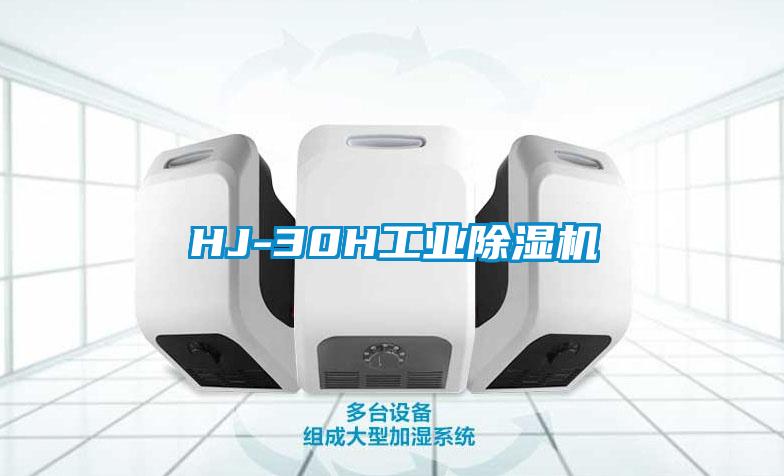 HJ-30H工業(yè)除濕機