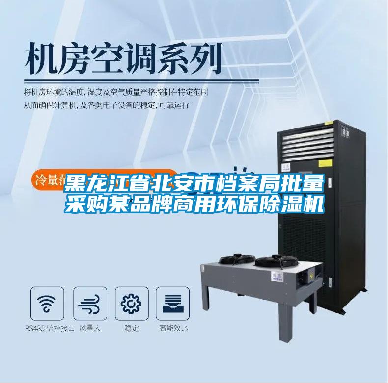 黑龍江省北安市檔案局批量采購某品牌商用環保除濕機