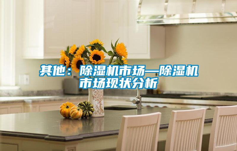 其他：除濕機(jī)市場(chǎng)—除濕機(jī)市場(chǎng)現(xiàn)狀分析