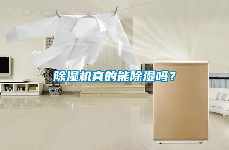 除濕機(jī)真的能除濕嗎？
