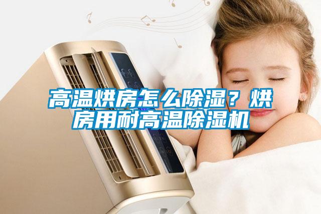 高溫烘房怎么除濕？烘房用耐高溫除濕機