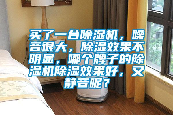 買(mǎi)了一臺(tái)除濕機(jī)，噪音很大，除濕效果不明顯，哪個(gè)牌子的除濕機(jī)除濕效果好，又靜音呢？