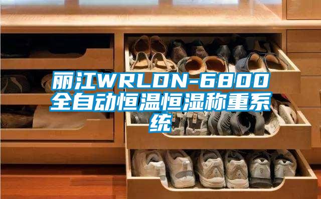 麗江WRLDN-6800全自動恒溫恒濕稱重系統(tǒng)