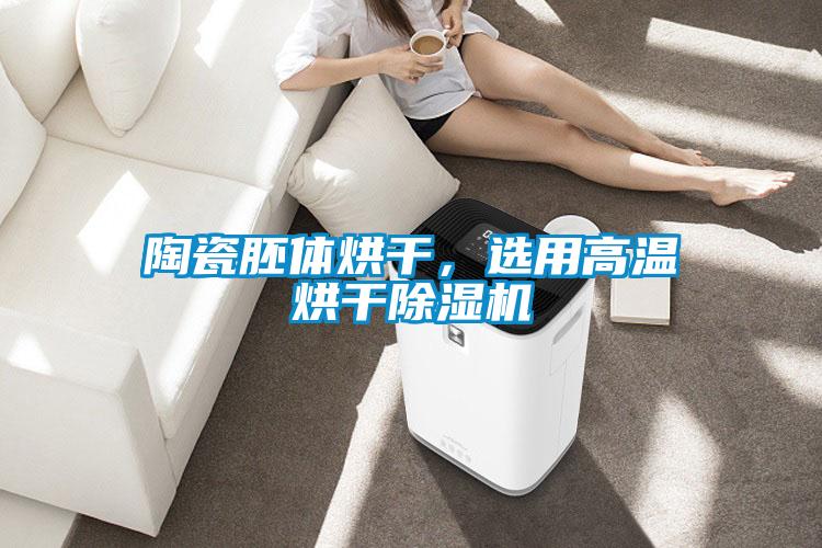 陶瓷胚體烘干，選用高溫烘干除濕機