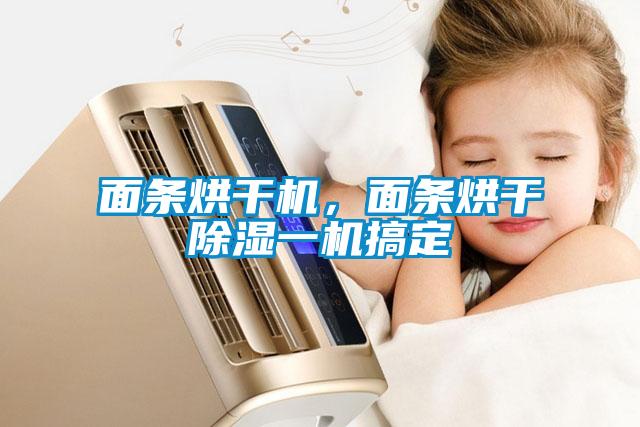 面條烘干機，面條烘干除濕一機搞定