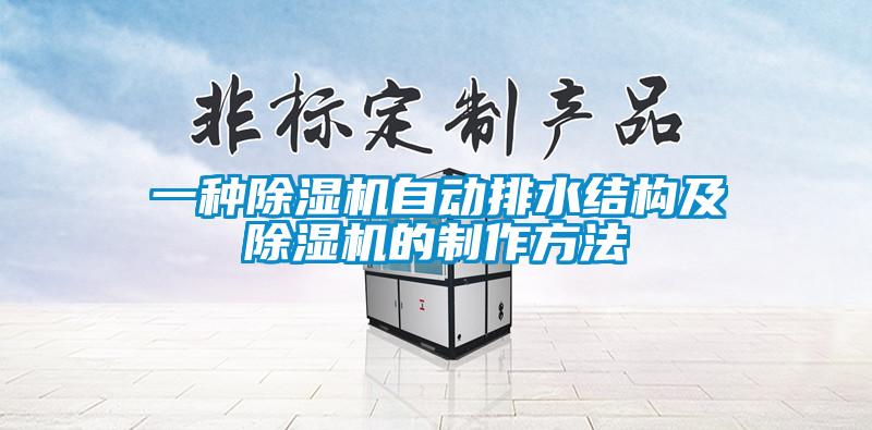 一種除濕機自動排水結(jié)構(gòu)及除濕機的制作方法