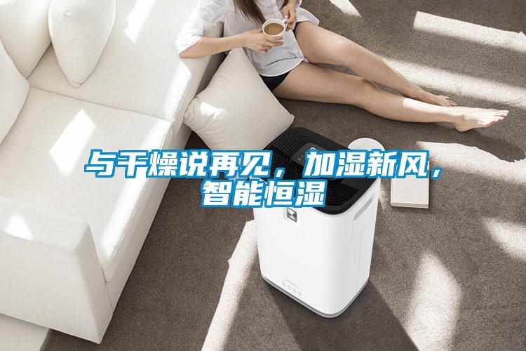 與干燥說再見，加濕新風(fēng)，智能恒濕