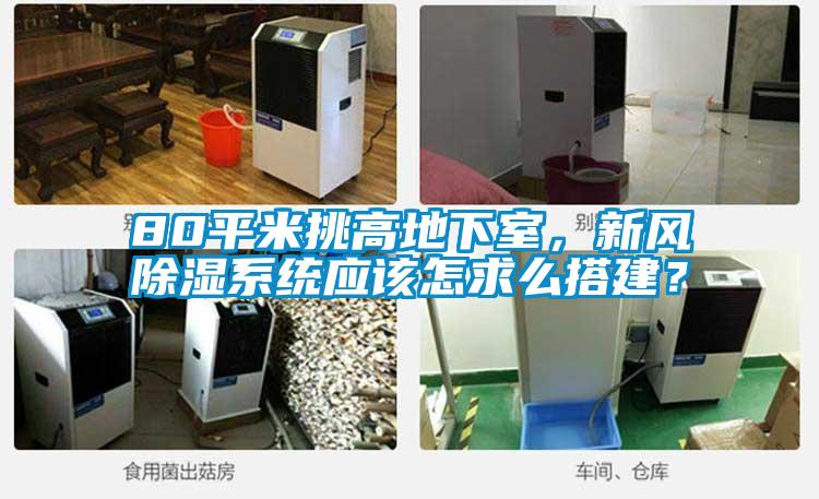 80平米挑高地下室，新風除濕系統(tǒng)應該怎求么搭建？