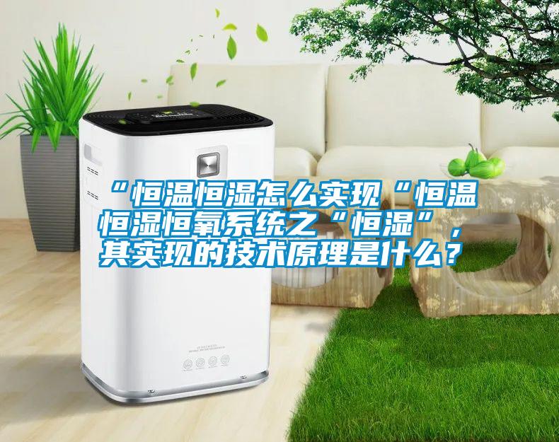 “恒溫恒濕怎么實現(xiàn)“恒溫恒濕恒氧系統(tǒng)之“恒濕”，其實現(xiàn)的技術(shù)原理是什么？