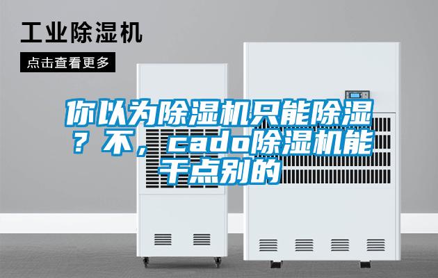 你以為除濕機只能除濕？不，cado除濕機能干點別的