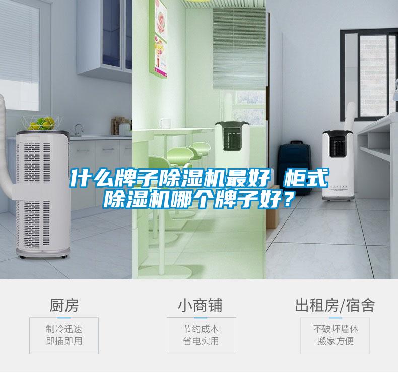 什么牌子除濕機(jī)最好 柜式除濕機(jī)哪個牌子好？